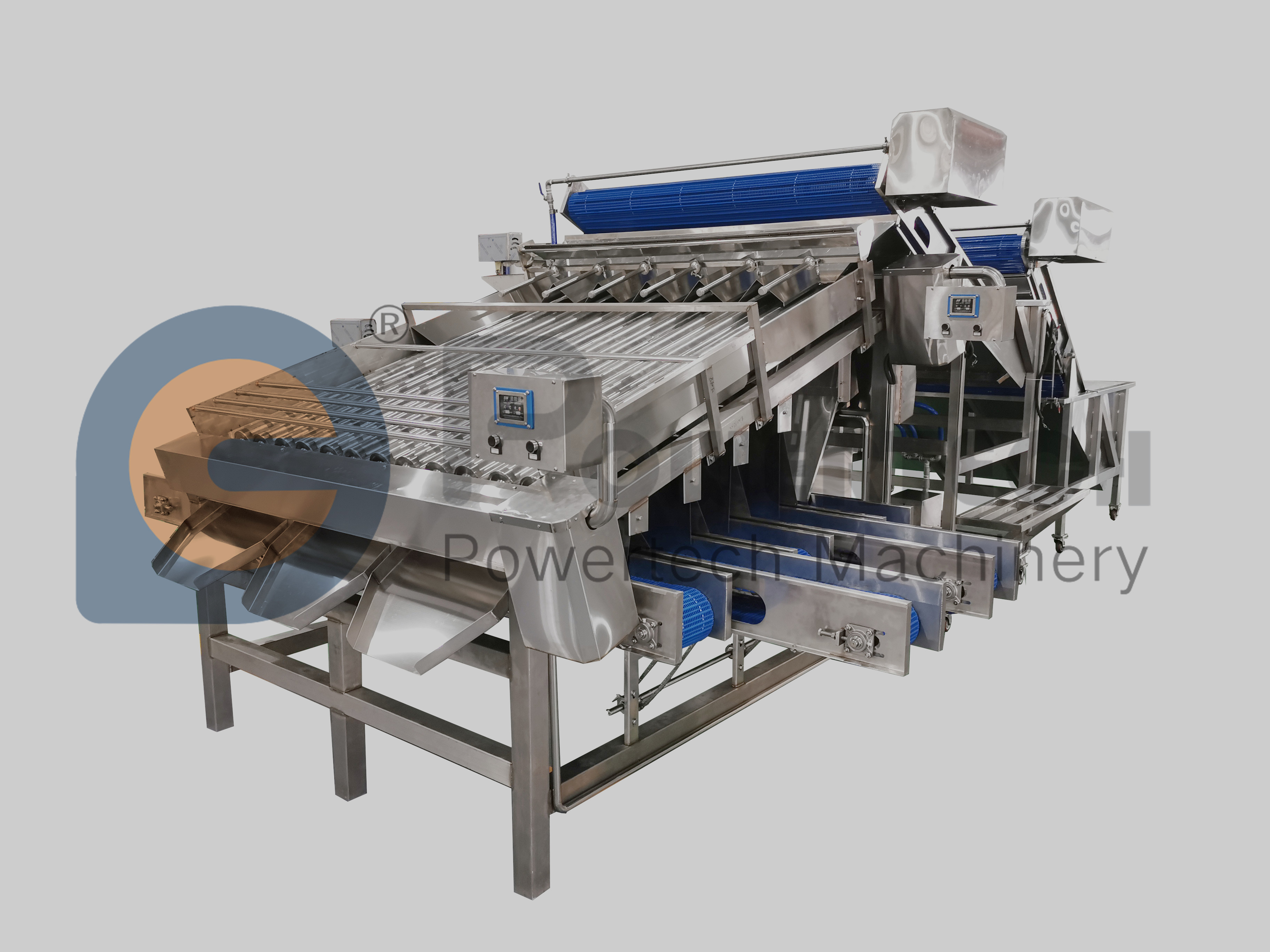 Máquina clasificadora automática de camarones de alta precisión de clasificación