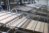 Cadena de producción automática de pelado de camarones de alta eficiencia y alta rentabilidad