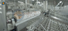 Servicio de mantenimiento conveniente Línea de producción automática de pelado de camarones