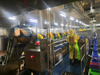 Máquina compacta de corte posterior y desvenado de cangrejos de río de alta capacidad
