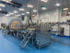 Línea de producción de pelado automático de camarones estándar europeo de tecnología avanzada