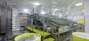 Línea de producción de pelado automático de camarones Vanamei de alta capacidad