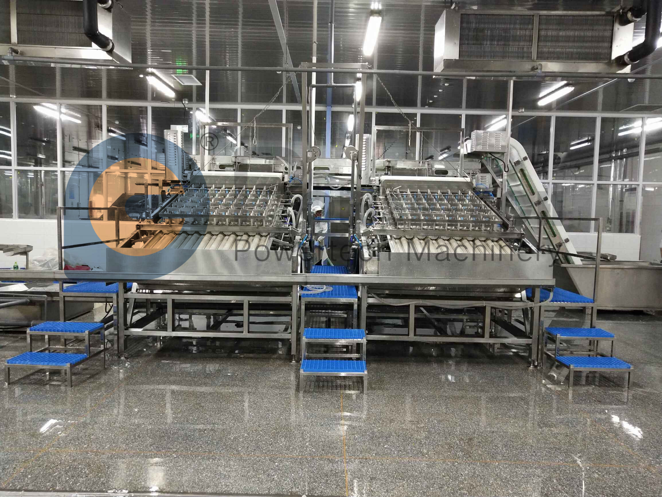 Línea de producción automática de pelado de camarones e higiene de la seguridad alimentaria