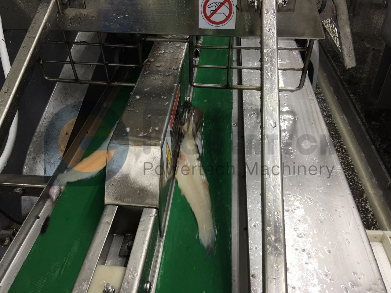 Máquina automática de fileteado de pescado de alta rentabilidad